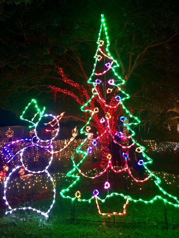 Comment choisir un éclairage de Noël pour son jardin ?